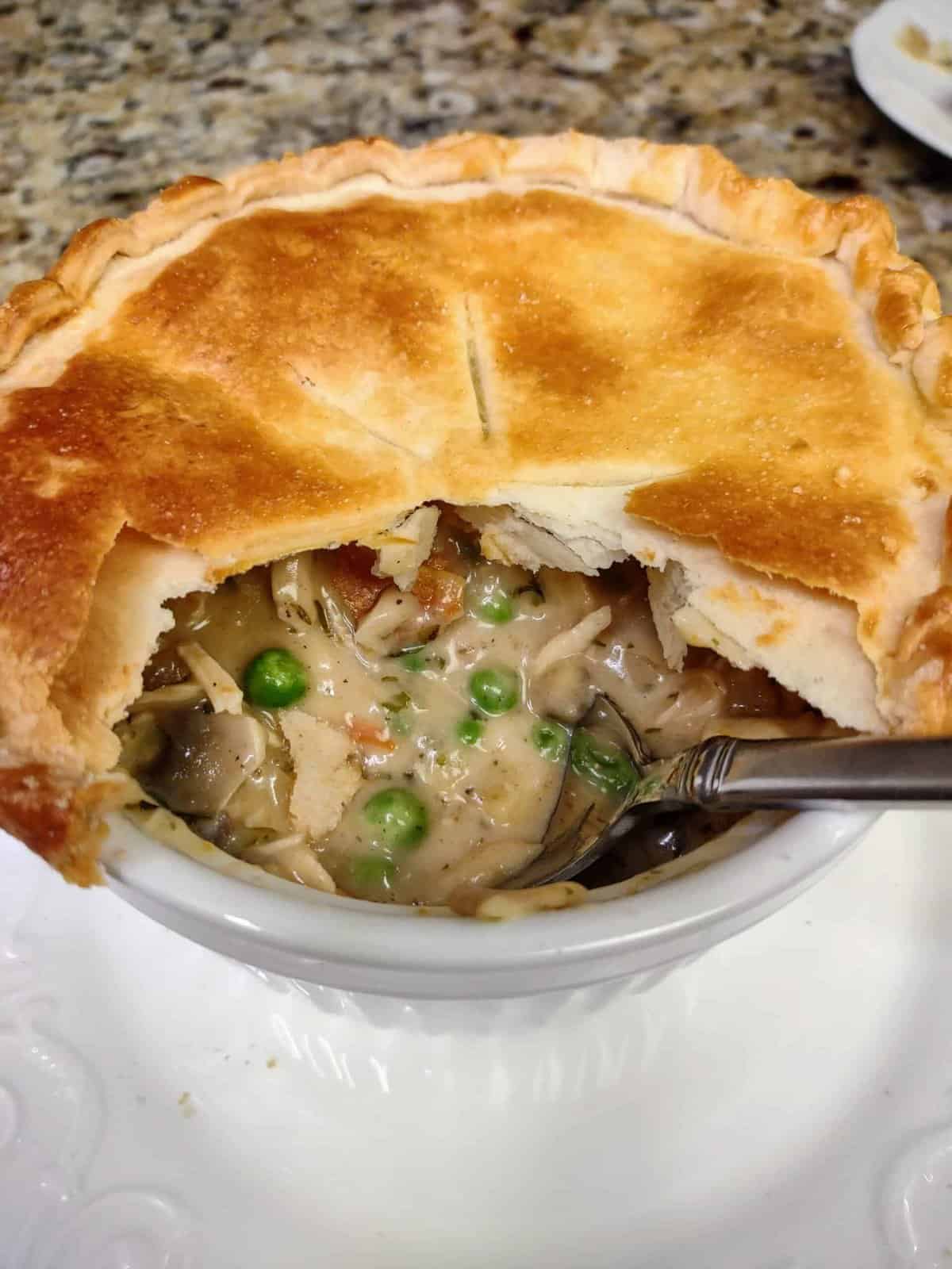 Chicken Pot Pie YUM scaled Chicken Pot Pie YUM scaled