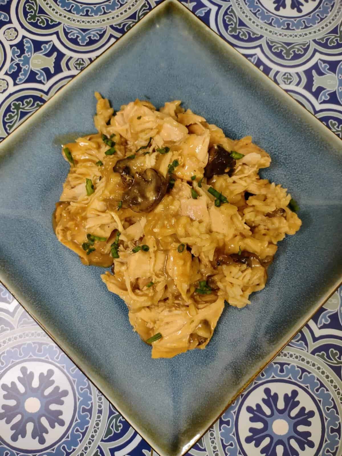 chicken and rice plated scaled chicken and rice