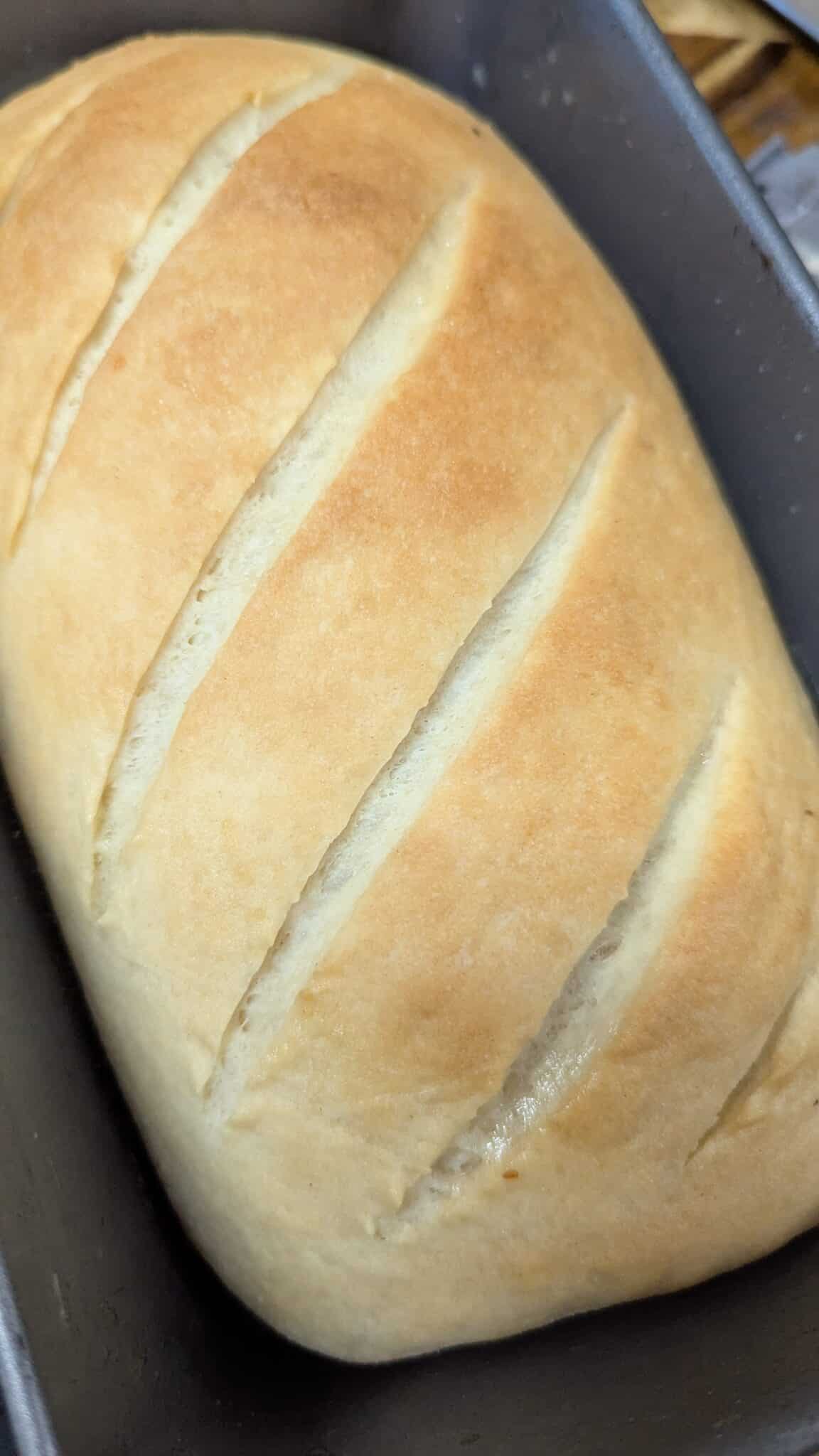 my homemade bread in mixer